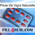 Natural Vigra Pill 06